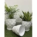 Garden Art Ceramic Pot for Plants GA70003-W (White 6)
