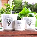 Garden Art Ceramic Pot Set of 3 Sized (16.7x16.7x16.5cm/14x14x13.5cm/11x11x10cm) Decorative Unique Pot with Hole and Saucer for All Kind of Indoor and Outdoor Plants | Best for Gifting (GA37209)