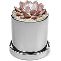 Garden Art Imported Ceramic Plant Pots,(10 * 10 * 10 CM) Flower Pots with Drainage Holes,Round Indoor Pot for Plants Ceramic Planters with Saucer,Outdoor Garden Pots (GA266002-S)