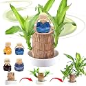 Garden Art Imported Lucky Bamboo Live Plant | Good Luck Plant | Indoor Feng Shui Plant For Home Decor (Brazilian Wood With Budha)