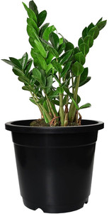 gardens need 55-inch 1397 cm nursery flower pot round set of 1 planter for versatile plant container set