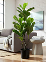 GardenGyani Artificial Plant  with Pot
