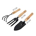 Gardening Tools Kit with Wooden Handle 