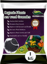 GARDENSCOIR SEA WEED EXTRACT GRANULES- SEA WEED