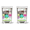 GARDENWISE 8-4-8 Acidic Fertilizer for Azaleas, Camellias (Camelia), Hydrangeas, Blueberries, Gardenias, Magnolia Trees, Evergreens, and Rhododendrons - Ideal Iron-Rich Plant Food (12 OZ) (Pack of 2)