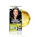 Garnier, Hair Colouring Creme, Long-lasting Colour, Smoothness & Shine, Color Naturals, Shade: 1 Natural Black, 70ml + 60g | Ammonia-Free Hair Color | Infused With 10X Natural Oils + Keratin Serum | 100% Grey Coverage | U