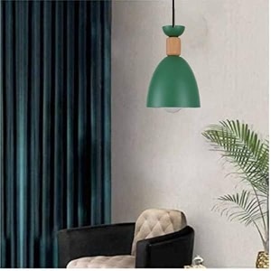 hanging with bulbpendent light for restaurantbedroom living room and home dcor blub included