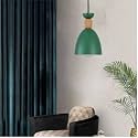 Hanging with Bulb/Pendent Light for Restaurant,Bedroom, Living Room and Home Décor. (Blub Included)