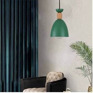 hangingpendent light for restaurantbedroom living room and home dcor blub not included
