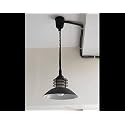 Pendant Ceiling Hanging Lamp with Bulb (Black)