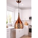 Pendant Lamp/Hanging Lamp/Ceiling Light for Bedroom, Living Room, Restaurants, Dining, Coffee Shop, Home and Office