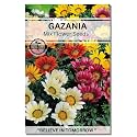 Navika Seeds ; Grow with Us Gazania Flower Seeds For Home Gardening. Perfect For Home &amp; Terrace Gardening Winter And Summer Blooms In India - Includes Free E-Book