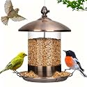 Gbekery Metal Bird Feeders for Outdoors Hanging, 360° Feeding Tray, Copper