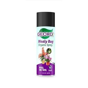 gecko mealy bug repellent spray 200 ml  removes mealy bugs and fungus from plants  100 herbal actives amp no chemicals  gentle on plants and promotes plant growth - formulation 30 x