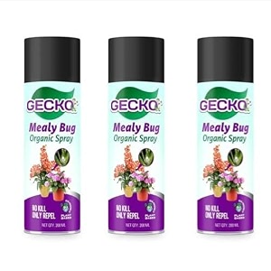 gecko mealy bug repellent spray 200 ml  removes mealy bugs and fungus from plants  100 herbal actives amp no chemicals  gentle on plants and promotes plant growth pack of 3 - formulation 30 x