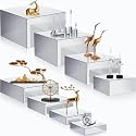 Geelin 8 Pack Acrylic Buffet Display Risers for Food Jewelry,Silver,Flat