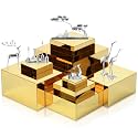 Geelin 8 Pack Acrylic Buffet Display Risers for Food Jewelry,Gold,Flat