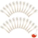 Geiserailie 24 Pieces Mother of Pearl Caviar Spoons Handcraft,2.75 Inch