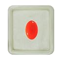 Real Certified Carnelian Gemstone 2.25 Ratti 10.25 Ratti Raat-Ratua Upratna Meash Rashi Ratan Oval, Pear, Rectangle, Round Shape Chakra Healing Mangal (Mars) Stone Art and Craft Supplies