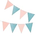 Gender Reveal Pennant Banner,Light Blue and Pink Vintage Double Sided Triangle Flag，for Party Decoration,Pack of 30pcs Triangle Flag