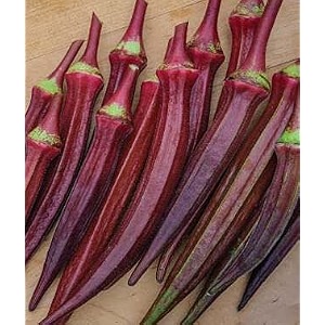 GENERIC Hybrid RED Ladies Finger - Okra