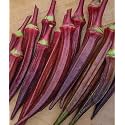 GENERIC Hybrid RED Ladies Finger - Okra