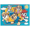 Gertmenian Paw Patrol Indoor Area Rug -