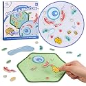 GiftAmaz Animal and Plant Cell Anatomy Model, Soft Felt Science Model Toy