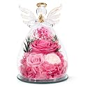 Gifts for Women Preserved Rose Forever Flower in Glass Angel Figurines Fresh Flowers for Delivery Prime Mothers Day Birthday Gifts for Mom Real Pink Roses for Grandma Sister Wife Her from Daughter