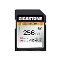 Gigastone 256GB SD Card, 4K Camera Pro MAX, A2 4K SDXC Memory Card High Speed 4K Ultra HD UHD Video Compatible with Canon Nikon Sony Pentax Kodak Olympus Digital Camera, with 1 Mini case