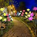 Gigawatts GW-923 Solar Rose Lights 2V Panel Outdoor 5 LED 5 Flower Garden Stake Lamp for Patio Yard Pathway Decoration (Pack of 1, Multicolour)