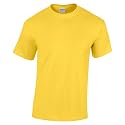 Gildan Men's G500 T-Shirt
