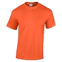 Gildan Men's G500 T-Shirt