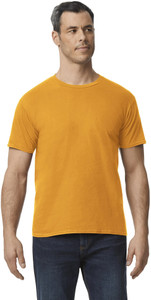 Gildan Men Solid Round Neck Pure Cotton
