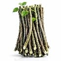 Giloy Stick .5 kg