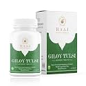 Giloy Tulsi Tablets - Natural Immunity Booster (Pack Of 2)
