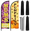Gilprop 2 Pack Fall Pumpkins and Mums for Sale Swooper Feather Flag Kit