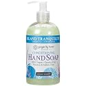 Ginger Lily Farms Botanicals Hand Soap, 12oz, Island Tranquility