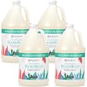 Ginger Lily Farms Botanicals Hand Soap, 128oz/4pk, Eucalyptus Tranquility