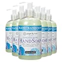 Ginger Lily Farms Botanicals Hand Soap, 12oz/6pk, Island Tranquility