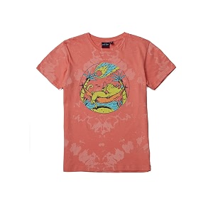 Gini Jony Boys Red Printed Knits