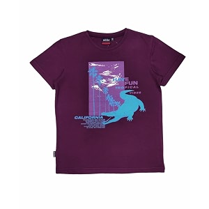 Gini Jony Boys Red Printed Knits