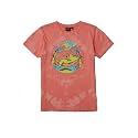 Gini amp Jony Boys Red Printed Knits