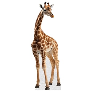 Giraffe - Life Size Cardboard Cutout Standup