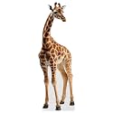 Giraffe - Life Size Cardboard Cutout Standup People with Support Standee | Animals -2