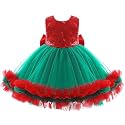Girls Flower Girl Red Dress Christmas Party