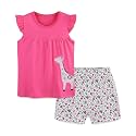 Girls Shorts Set Outfits for Toddler Girls T-shirts Clothing Sets Kids Summer Graphic Cotton Tops Tees 3-7 Years