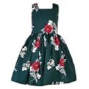 Girls Skater Printed Poly Crepe Dress 
