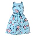 Girls Skater Printed Poly Crepe Dress 