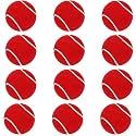 GIRLYZ Attire Cricket Ball Light Weight 